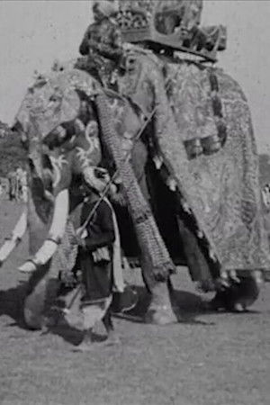 Calcutta Pageant Calcutta Pageant