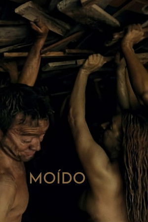 Moído
