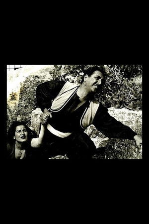 The Bandit The Bandit