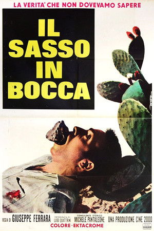 Il sasso in bocca