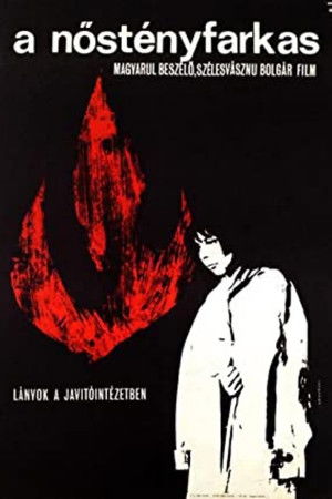 The She-Wolf The She-Wolf