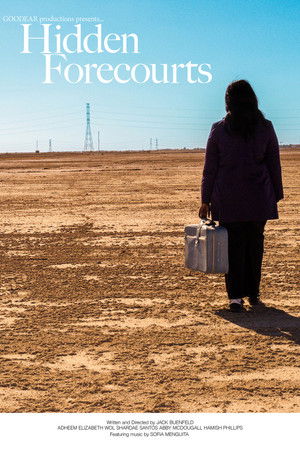 Hidden Forecourts Hidden Forecourts