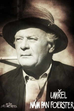 Our Mr. Foerster Died Our Mr. Foerster Died