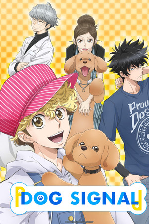 Dog Signal Dog Signal