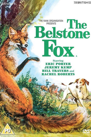 The Belstone Fox The Belstone Fox