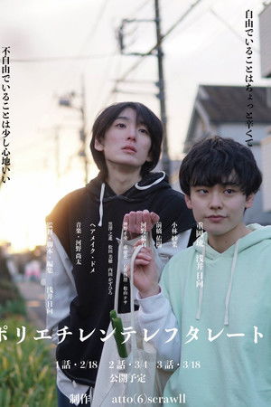 Polyethylene Terephthalate Polyethylene Terephthalate