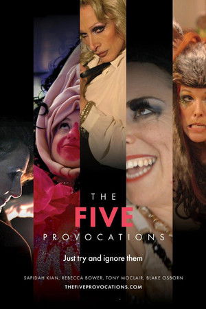 The Five Provocations The Five Provocations
