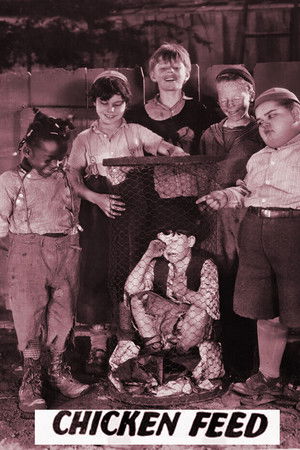 Chicken Feed Chicken Feed