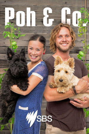 Poh & Co. Poh & Co.