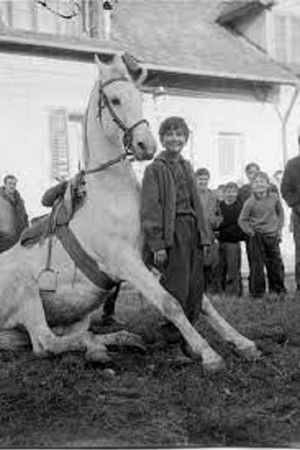 The Time of Horses The Time of Horses