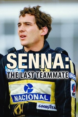 The Last Teammate The Last Teammate