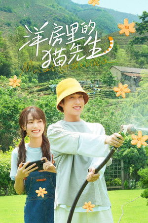 Mr. Cat in the Villa