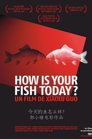 How Is Your Fish Today? How Is Your Fish Today?