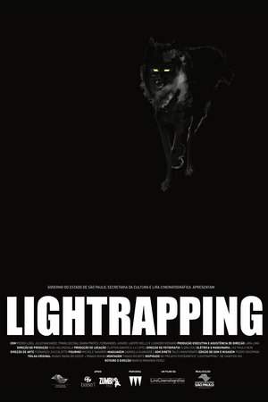 Lightrapping Lightrapping
