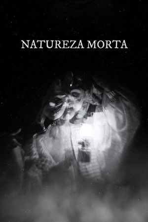 Still Life Still Life