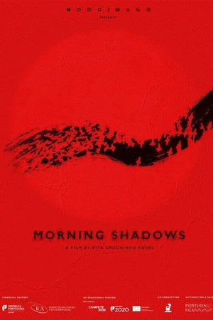 Morning Shadows Morning Shadows