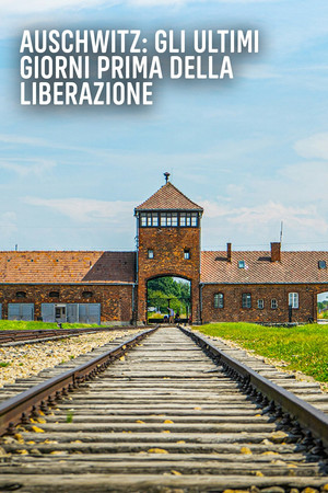 Auschwitz: Countdown to Liberation Auschwitz: Countdown to Liberation