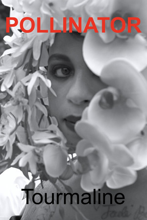 Pollinator Pollinator