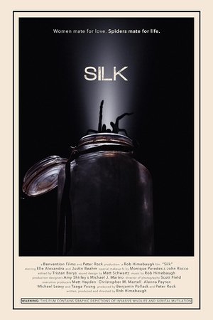 Silk Silk