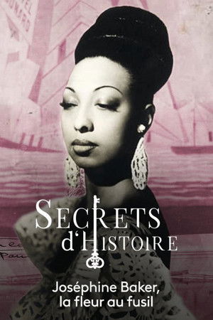 Josephine Baker, la fleur au fusil Josephine Baker, la fleur au fusil