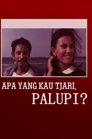 What Are You Looking For, Palupi?