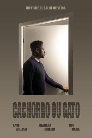 Cachorro ou Gato Cachorro ou Gato