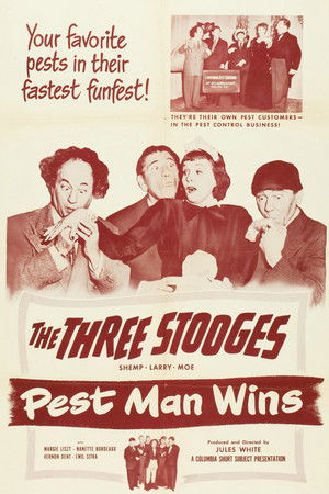 Pest Man Wins Pest Man Wins