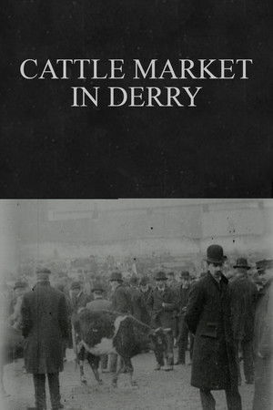 Cattle Market in Derry Cattle Market in Derry