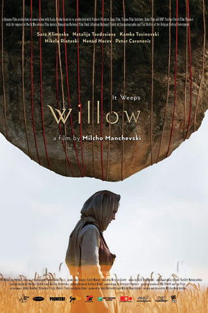 Willow Willow