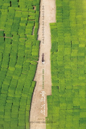 The Memory of Water The Memory of Water