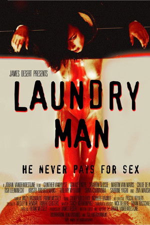 Laundry Man Laundry Man