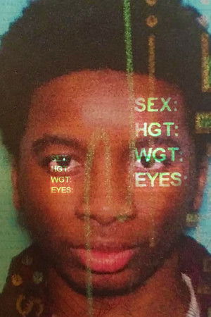 Young Adult Young Adult