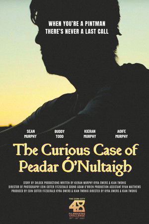 The Curious Case Of Peadar Ó'Nultaigh The Curious Case Of Peadar Ó'Nultaigh