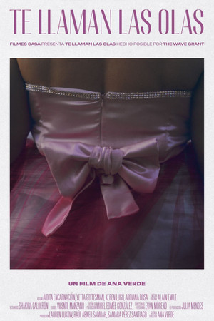 The Waves Call You The Waves Call You