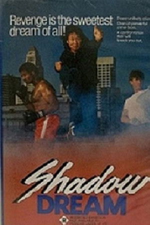 Shadow Dream Shadow Dream