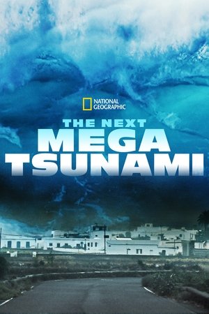 The Next Mega Tsunami The Next Mega Tsunami