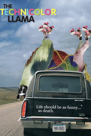 Technicolor Llama Technicolor Llama