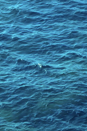 Desde la mar Desde la mar