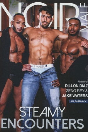 Steamy Encounters Steamy Encounters