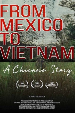 From Mexico to Vietnam: A Chicano Story