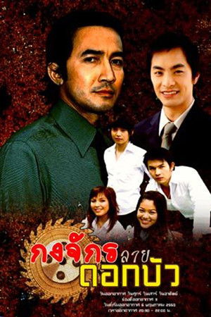 Circle Of Life Circle Of Life