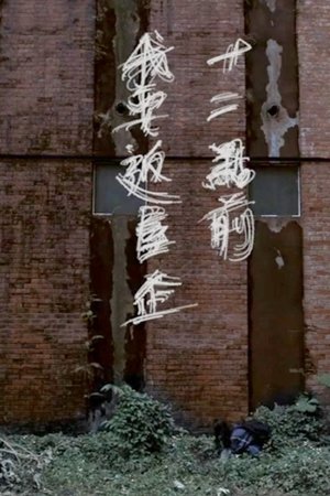 Walk Along The Wall Walk Along The Wall