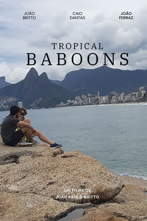 Tropical baboons
