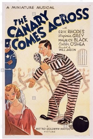 The Canary Comes Across The Canary Comes Across