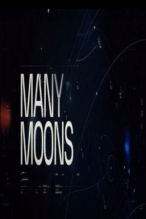 Many Moons Many Moons