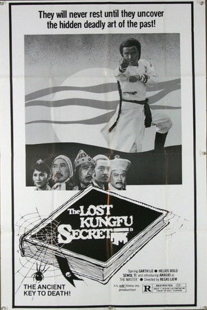 The Lost Kung Fu Secrets The Lost Kung Fu Secrets