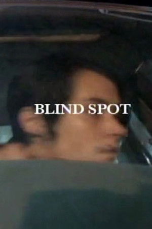 Blind Spot Blind Spot