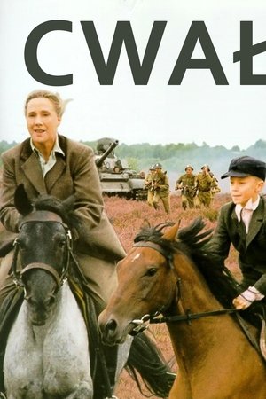 At Full Gallop At Full Gallop