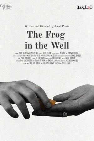 The Frog in The Well