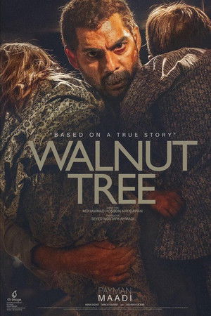 Walnut Tree Walnut Tree